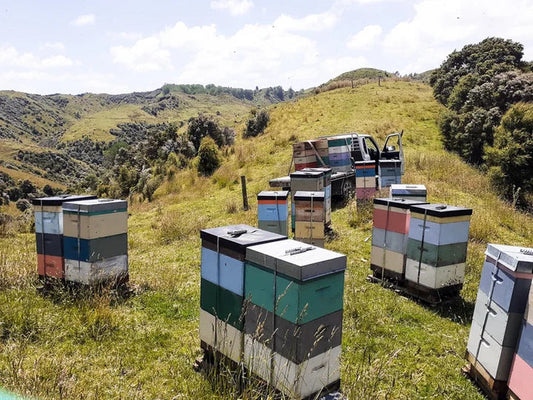 What is Manuka Honey?